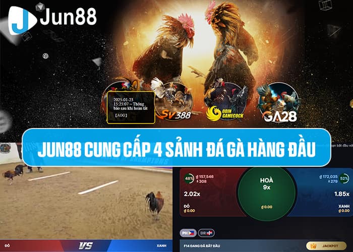 Đá Gà Jun88 - sự lựa chọn số 1 cho kê thủ Đá Gà Jun88 - sự lựa chọn số 1 cho kê thủ